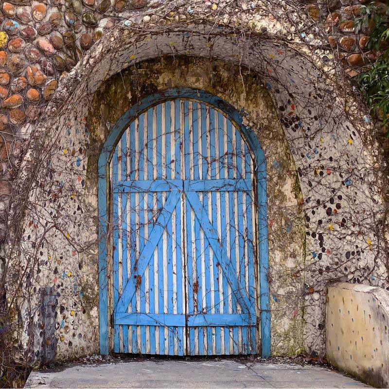 Kate Cool Blue Barn Door Backdrop designed by Jerry_Sina - Kate Backdrop