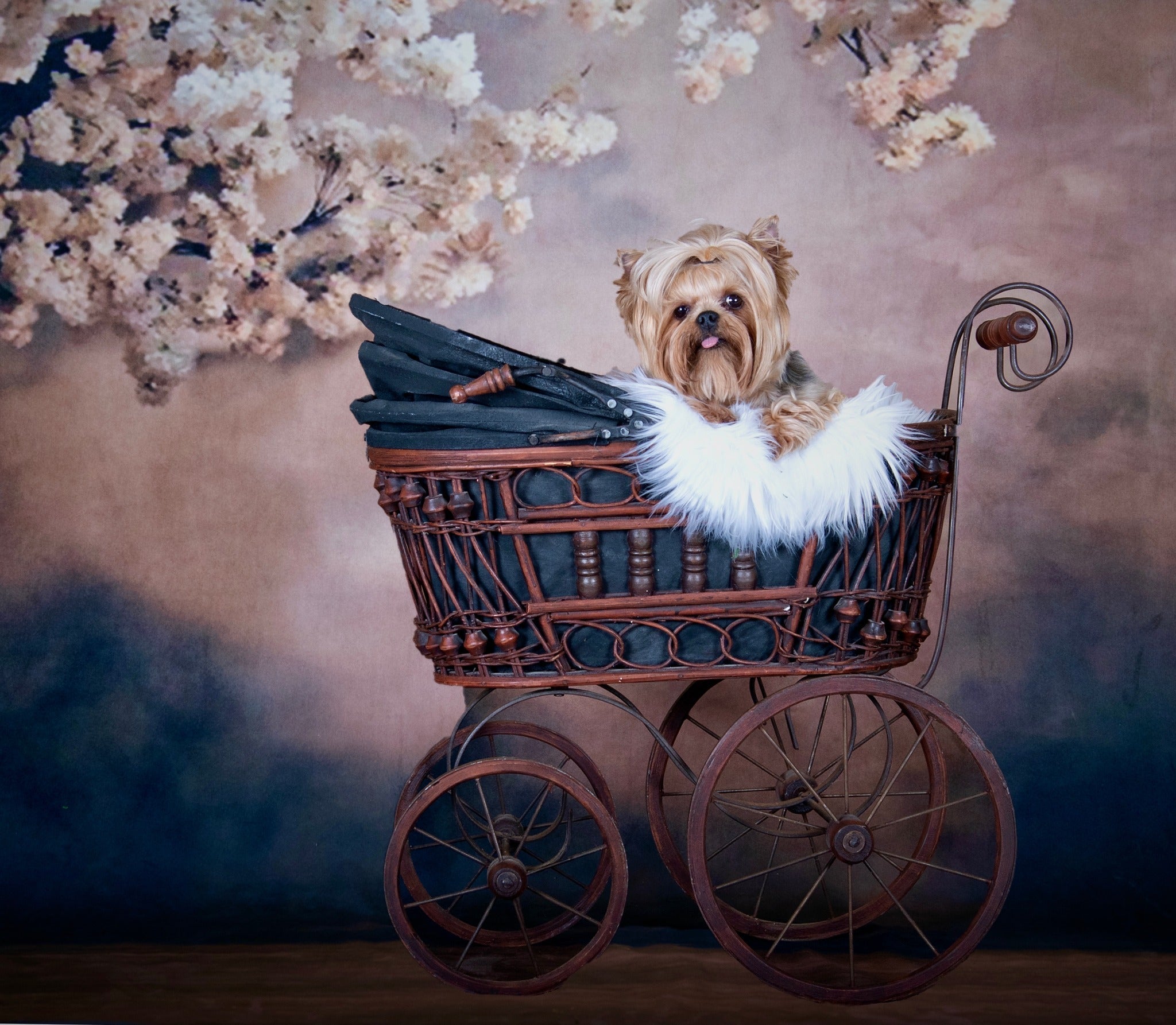 Kate Abstract Background With Florals Backdrops for Photography - Kate Backdrop