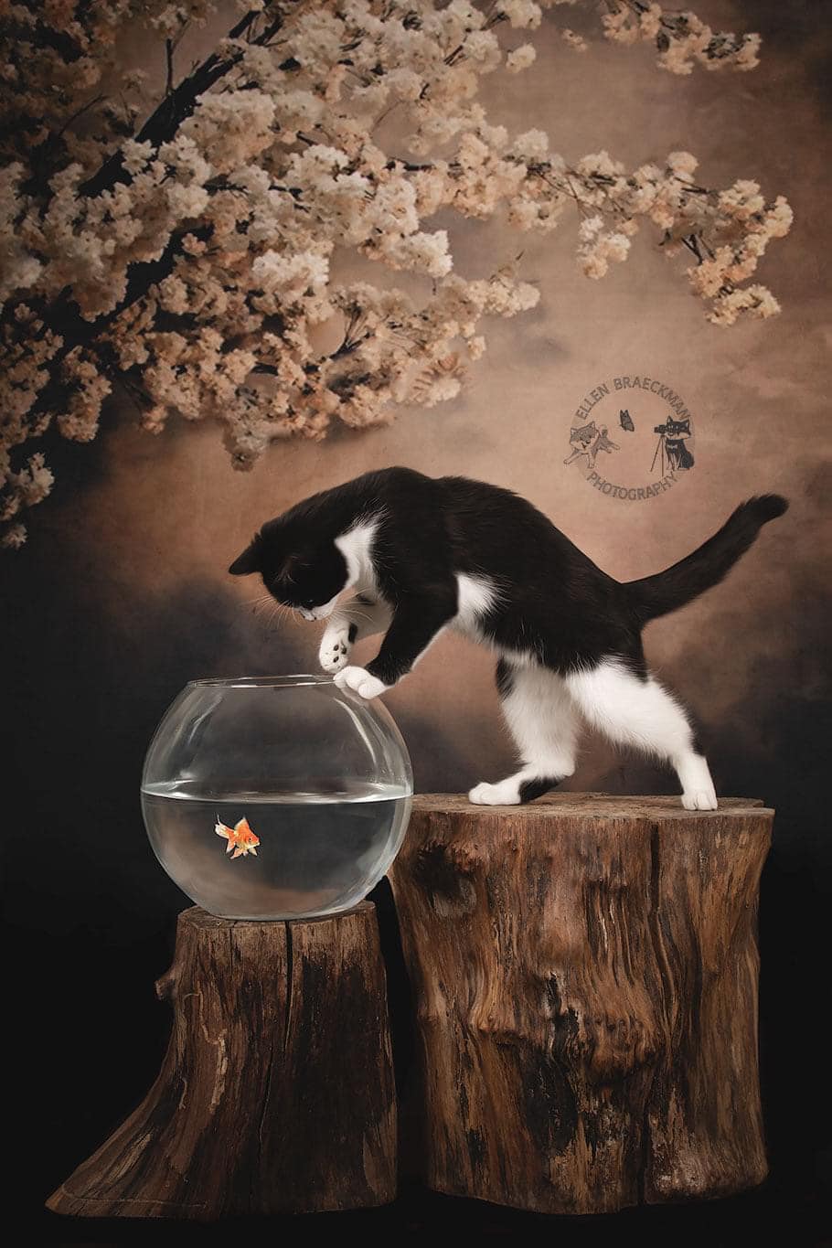 Kate Abstract Background With Florals Backdrops for Photography - Kate Backdrop