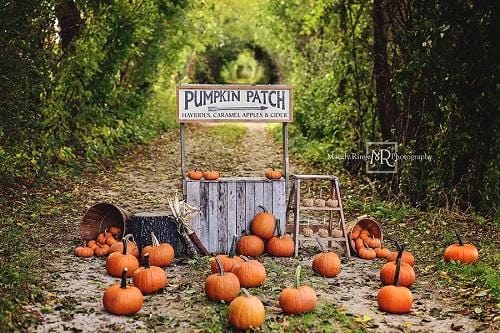 Kate Autumn/Thanksgiving Backdrop Pumpkin Stand Designed by Mandy Ringe Photography - Kate Backdrop