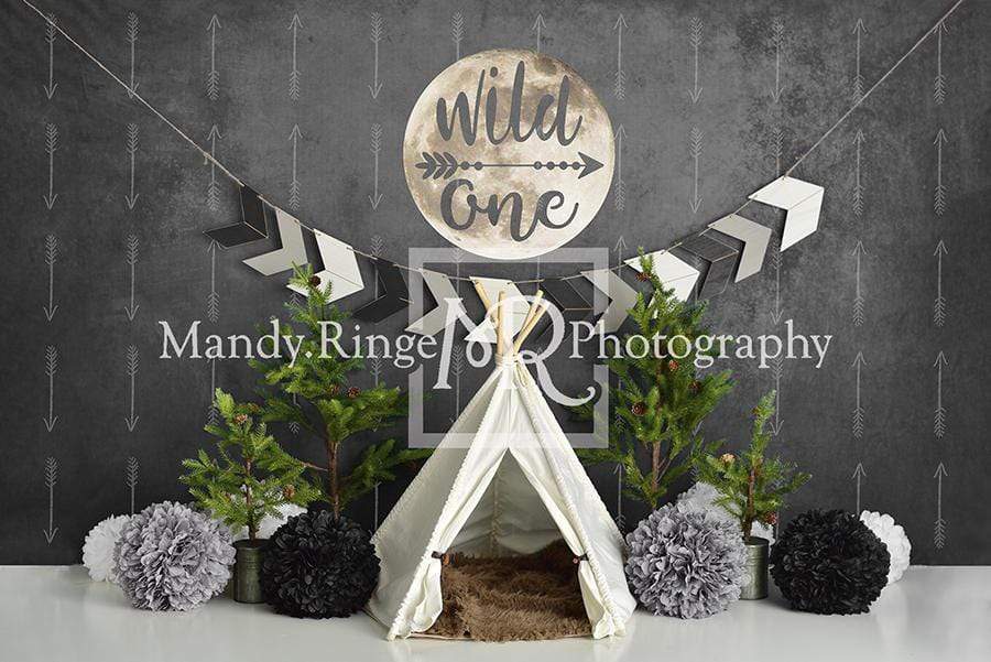 Katebackdrop鎷㈡綖Kate Wild One Boy First Birthday Backdrop Designed By Mandy Ringe Photography
