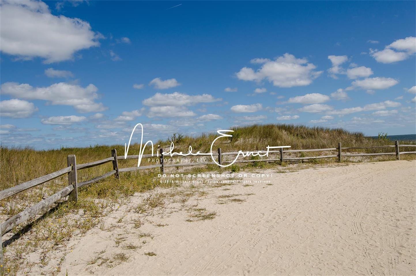 Kate Pebble Beach Summer Backdrop Designed By Michele Ernst Photography - Kate Backdrop