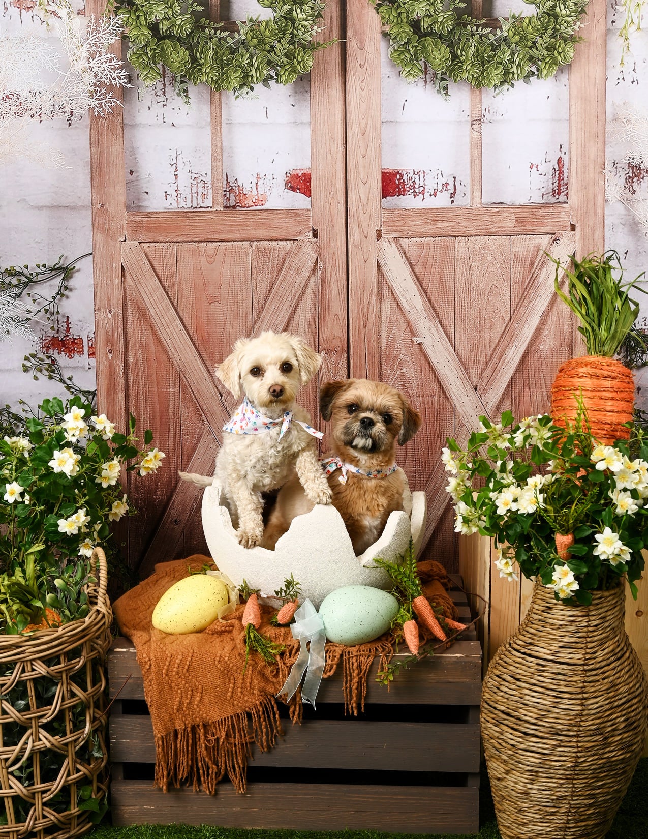 Kate Summer/Spring Green Plants Barn Door Backdrop Designed by Jia Chan Photography - Kate Backdrop