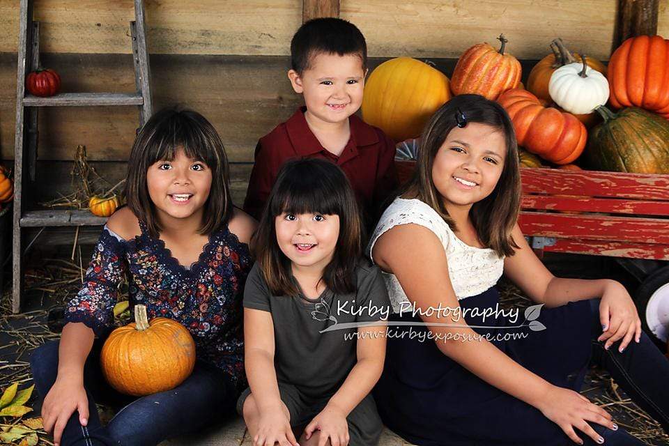 Katebackdrop鎷㈡綖Kate Pumpkin Harvest Backdrop Autumn and Halloween designed by Arica Kirby