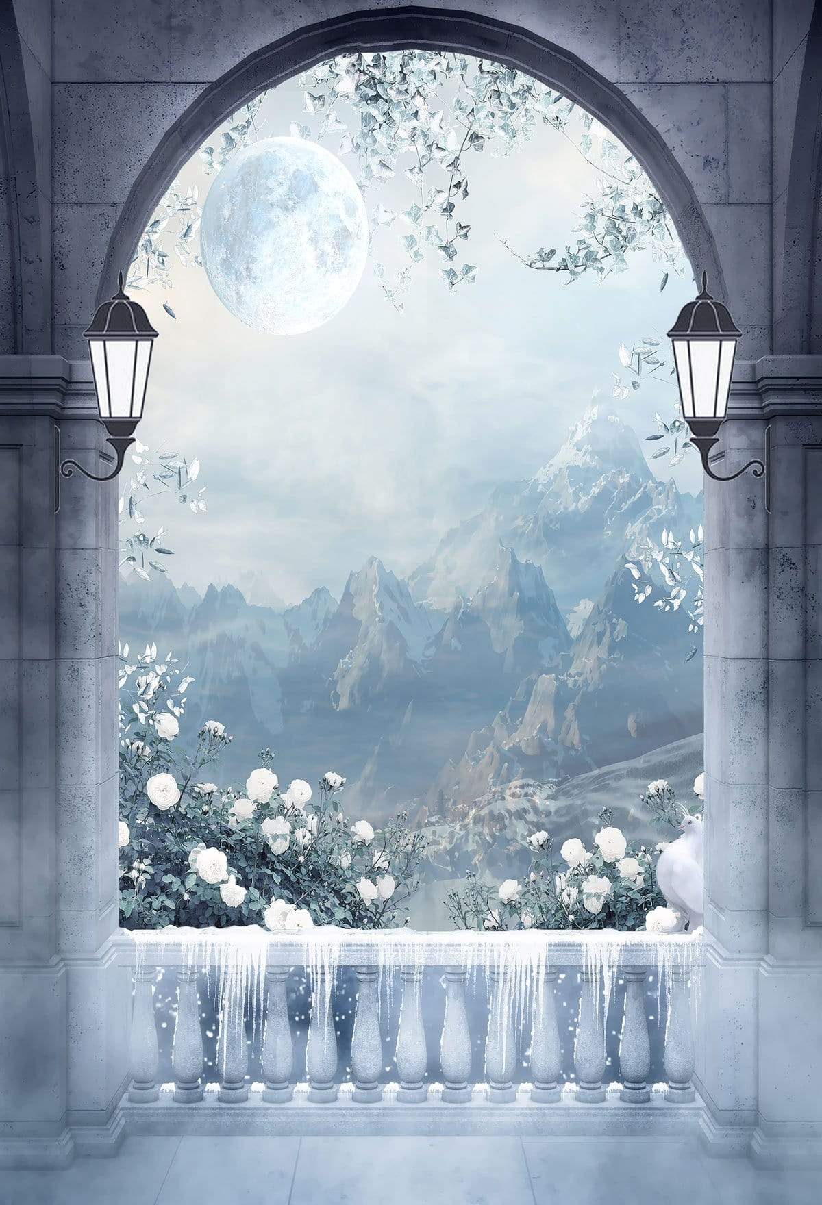 Katebackdrop£ºKate Winter Mountain And Moon Arched Door with Snow Backdrop Designed by JFCC