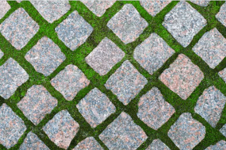 Katebackdrop¡êoKate Spring Stone Grass Computer Printed Rubber Floor Mat