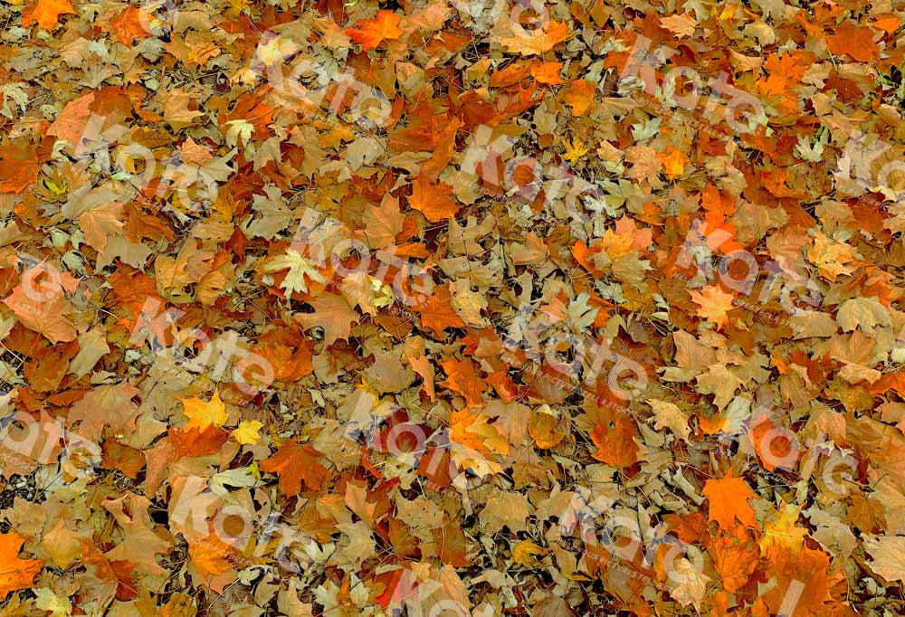 SALE RTS Kate Autumn Fallen Leaves Rubber Floor Mat (US ONLY)