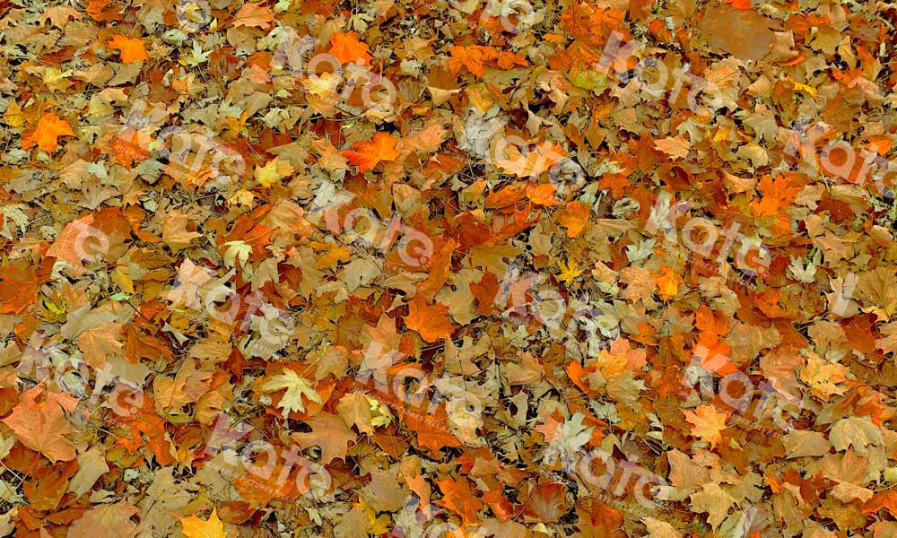 SALE RTS Kate Autumn Fallen Leaves Rubber Floor Mat (US ONLY)