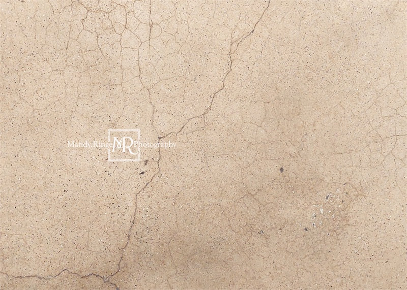 Kate Worn Cracked Terrazzo Rubber Floor Mat designed by Mandy Ringe Photography