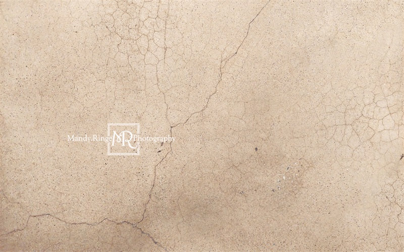 Kate Worn Cracked Terrazzo Rubber Floor Mat designed by Mandy Ringe Photography