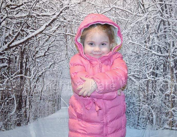 Kate Snow Winter Forest Frozen Tree Backdrop - Katebackdrop