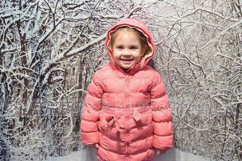 Kate Snow Winter Forest Frozen Tree Backdrop - Katebackdrop