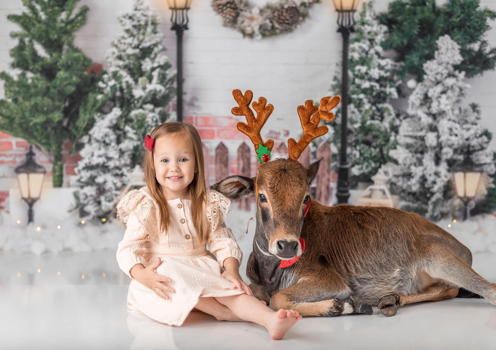 Kate Xmas Backdrop Christmas Garden with Lights Designed by Emetselch - Kate Backdrop