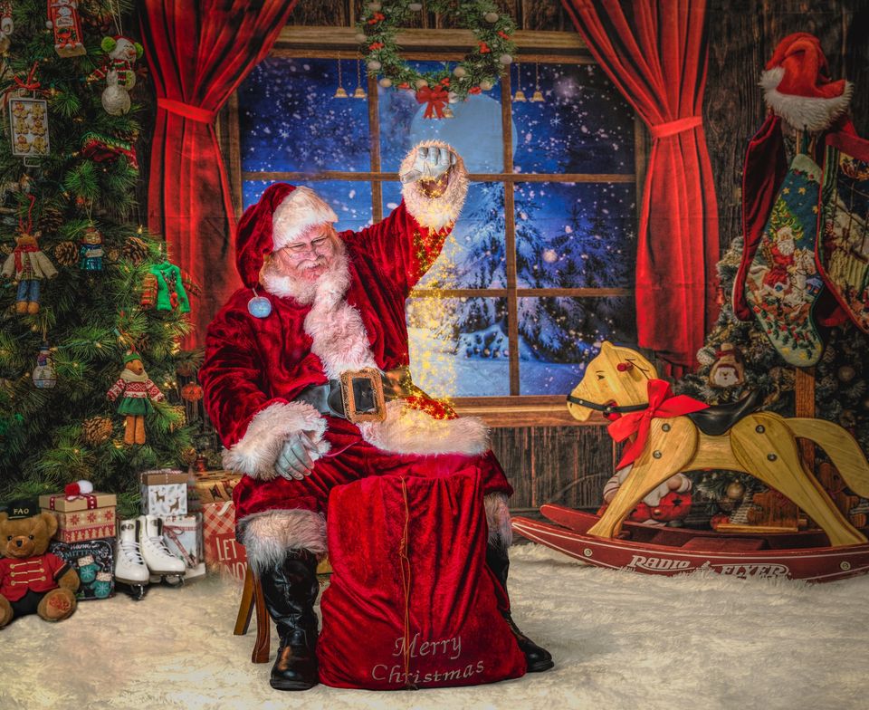 Kate Christmas Trees Window Backdrop Designed by Chain Photography - Kate Backdrop