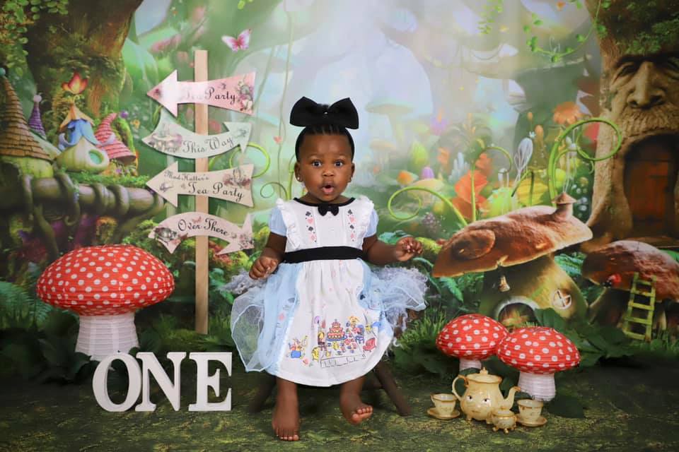 Kate Children Fairy Tale Wonderland Forest Mushrooms Backdrops - Katebackdrop