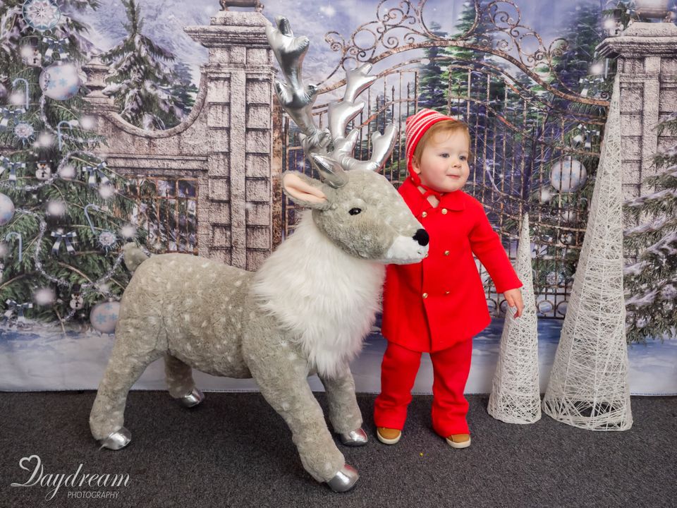 Kate Gate and Christmas Tree With Snow For Photography - Kate Backdrop