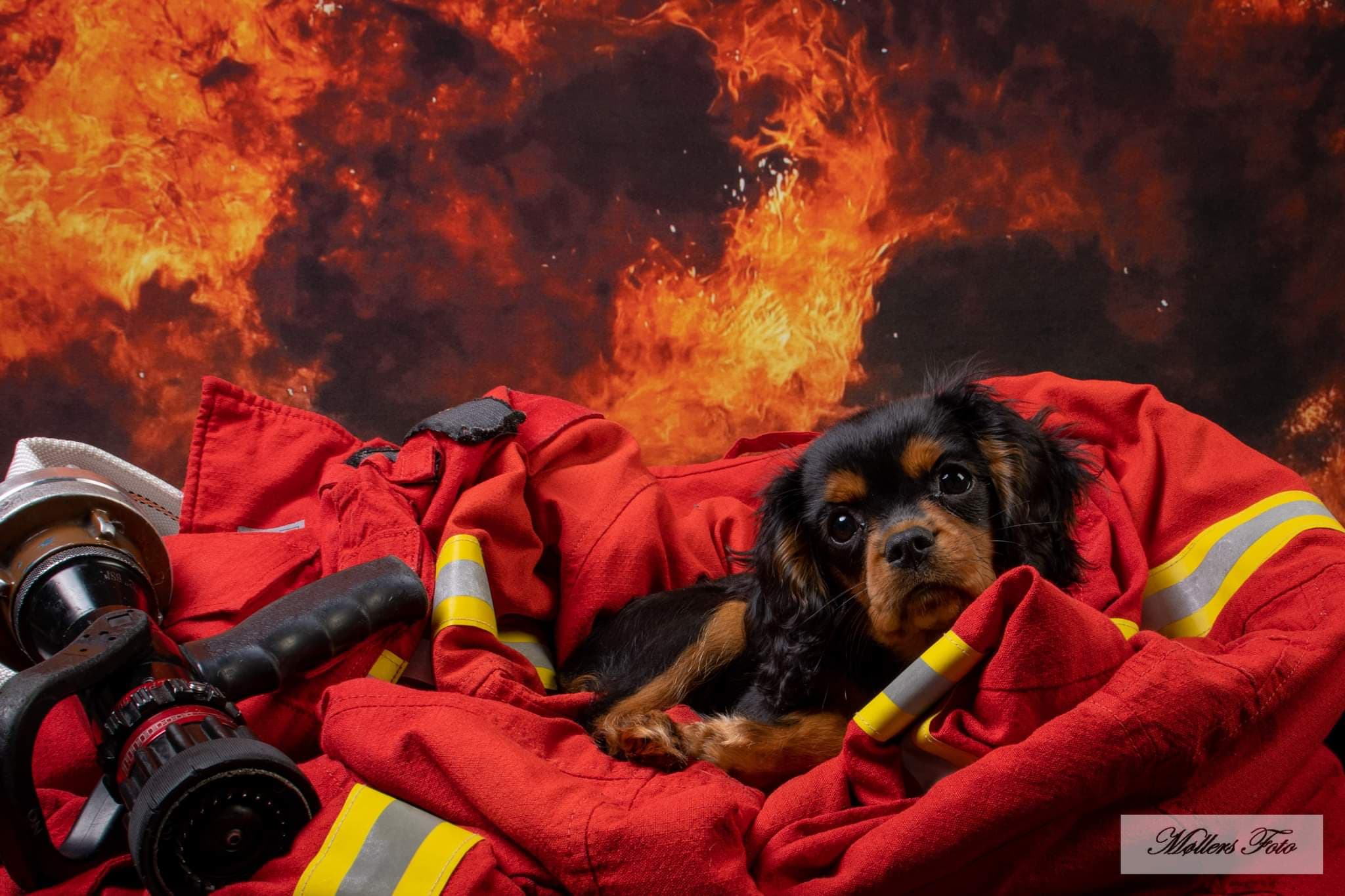 Kate Fire Texture Flames Backdrop for Photography - Kate Backdrop