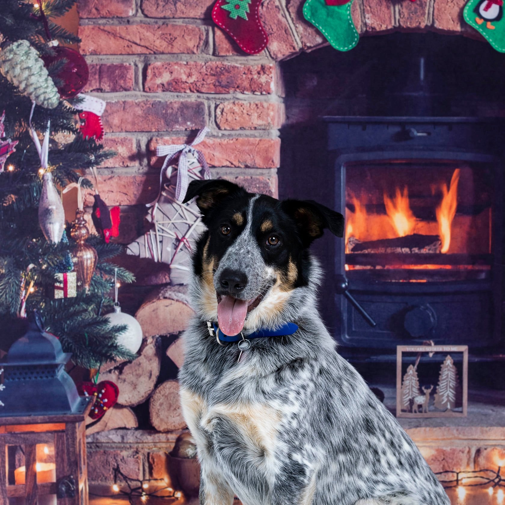 Kate Fireplace Christmas Backdrop for Photography - Kate Backdrop