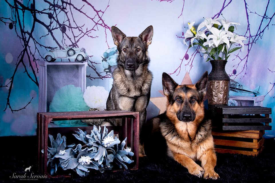 Kate Fantastic Christmas Bokeh Background With Decorations Backdrop for Photography designed by Studio Gumot - Kate Backdrop