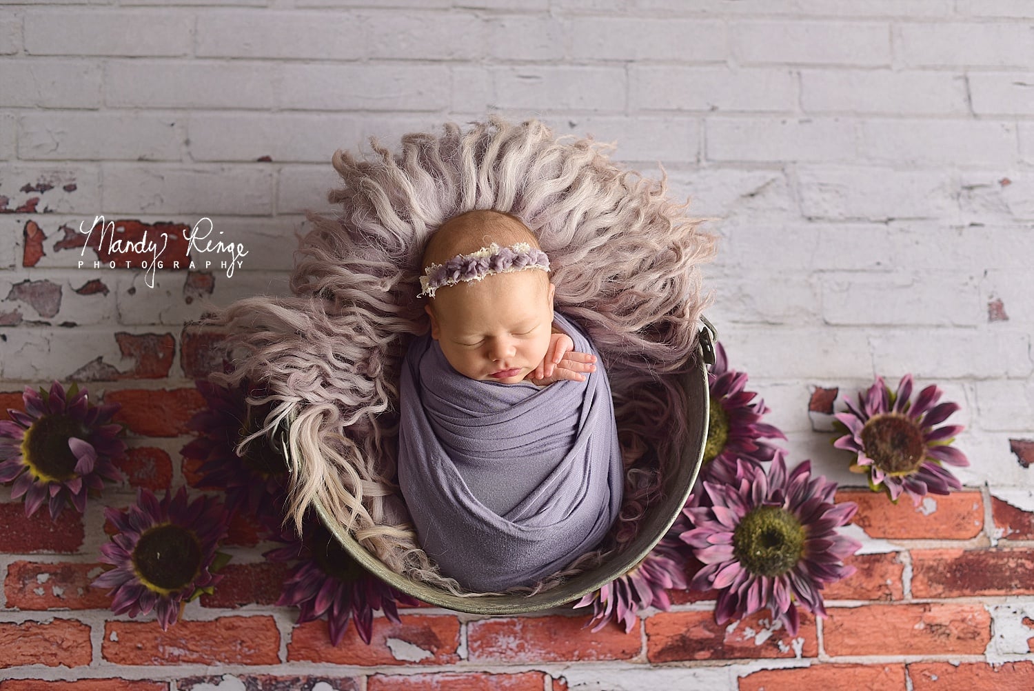 Kate Shabby White and Red Brick Backdrop Designed By Mandy Ringe Photography - Kate Backdrop