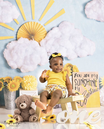 Kate Sunflower you are my Sunshine Children Backdrop Designed By Mandy Ringe Photography - Kate Backdrop