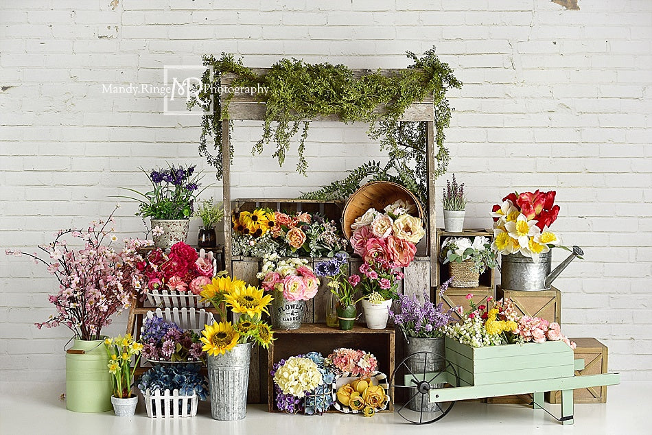 Kate Spring Flower Stand Backdrop Designed By Mandy Ringe Photography - Kate Backdrop