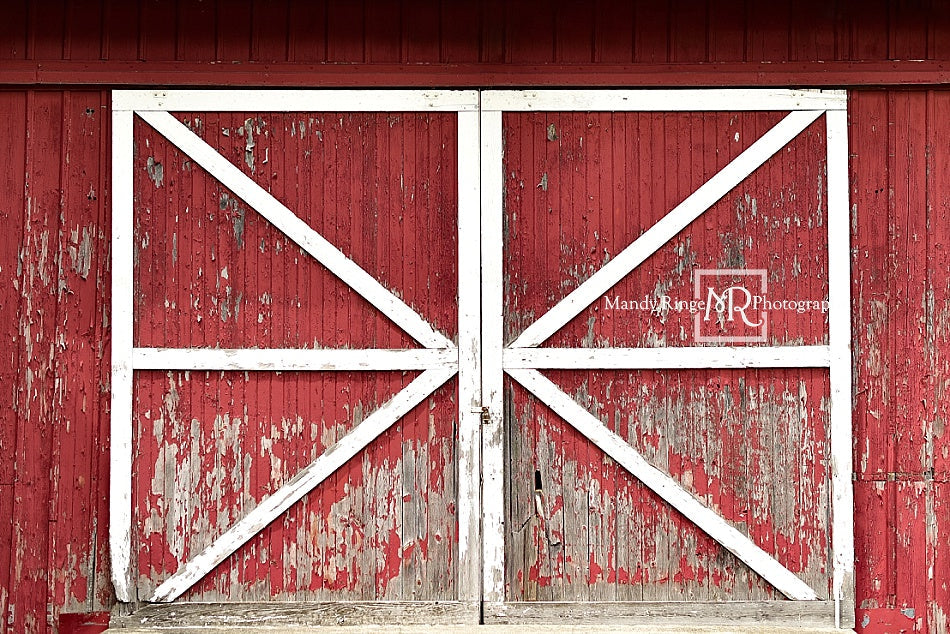 Kate 7x5ft Rustic Red Barn Door Backdrop (only shipping to Canada)