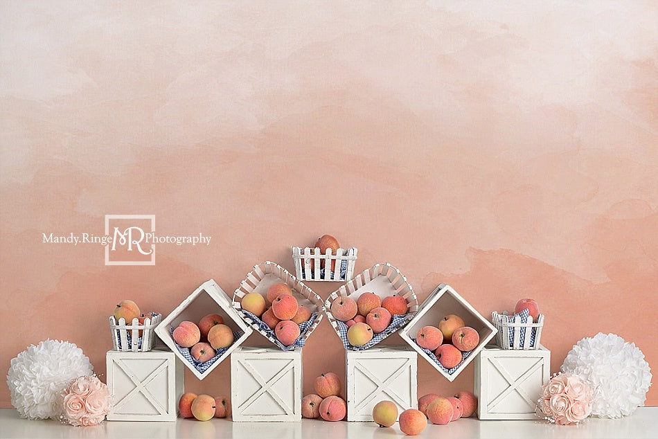 Kate Summer Peaches and Cream Backdrop for Children Designed By Mandy Ringe Photography - Kate Backdrop