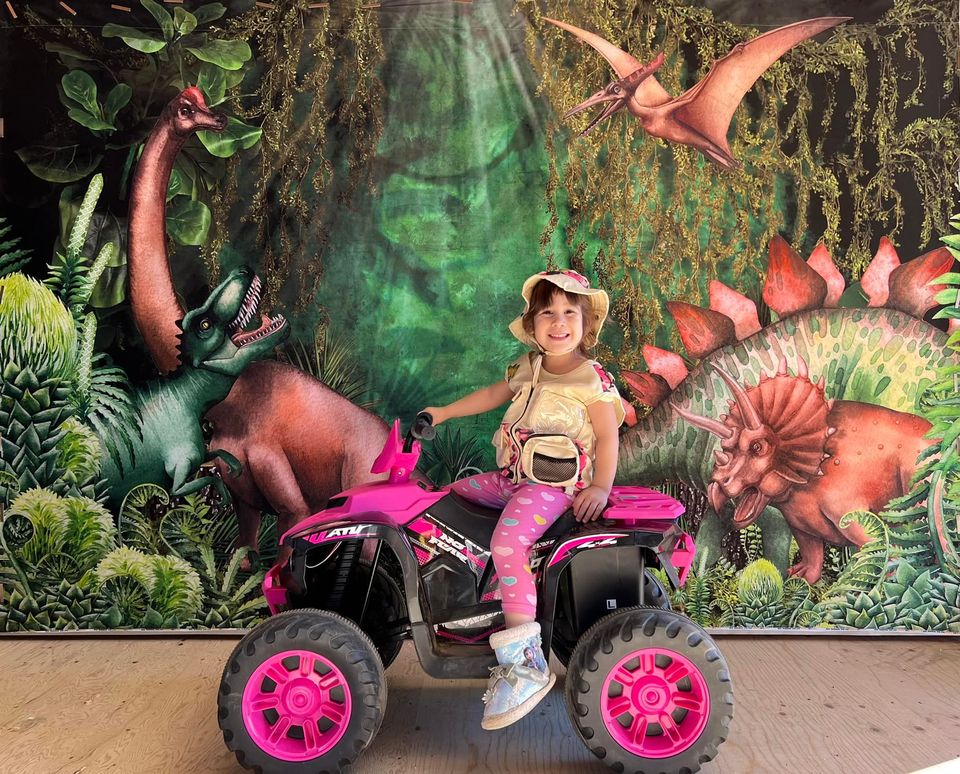 Kate Summer Jungle Adventure Dinosaurs Backdrop Designed by Mandy Ringe Photography - Kate Backdrop