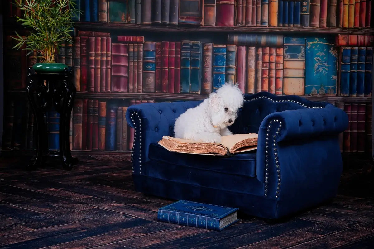 Retro Oud Boekwinkel Achtergrond voor Fotografie