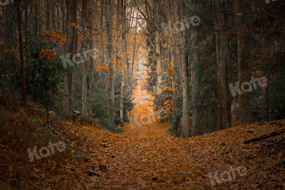 Kate Fall Maple Leaf Backdrop Forest Designed by Chain Photography - Kate Backdrop