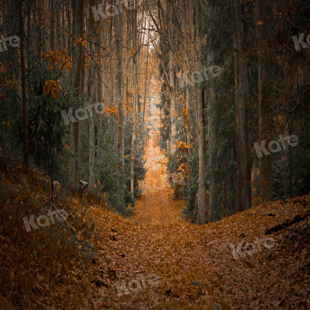 Kate Fall Maple Leaf Backdrop Forest Designed by Chain Photography - Kate Backdrop