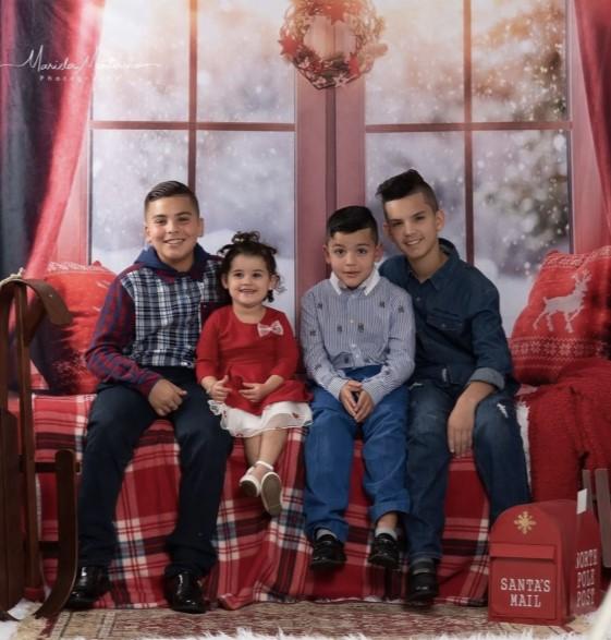 Katebackdrop£ºKate Christmas Snow And Sunshine Outside Window Backdrops for Photography