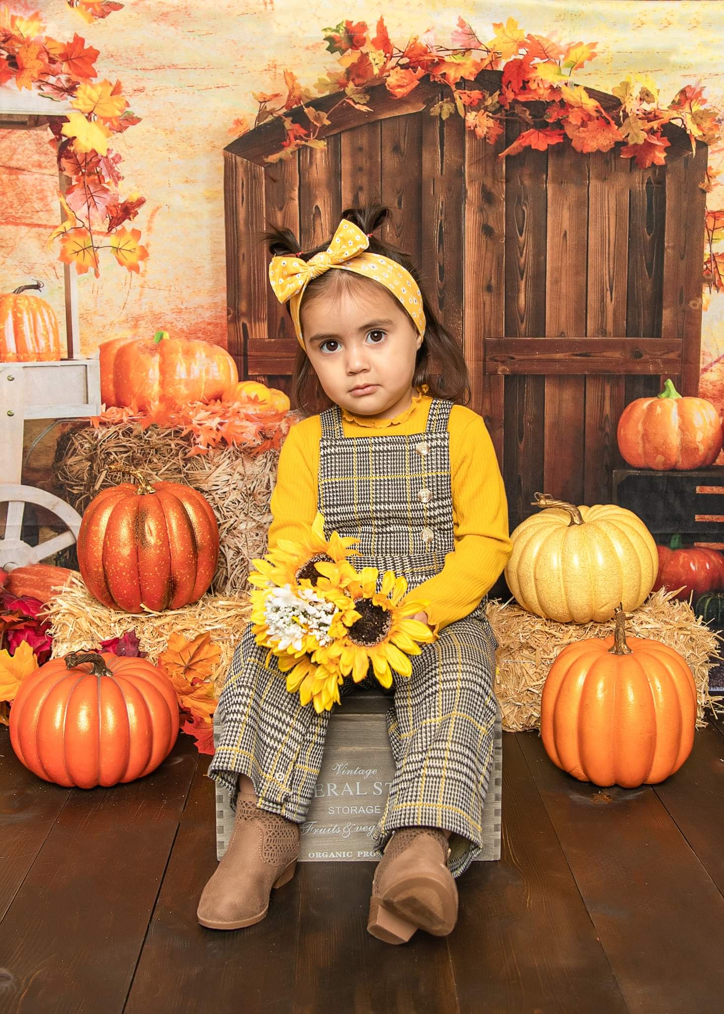 Kate Fall Pumpkin Backdrop Harvest for Photography - Kate Backdrop