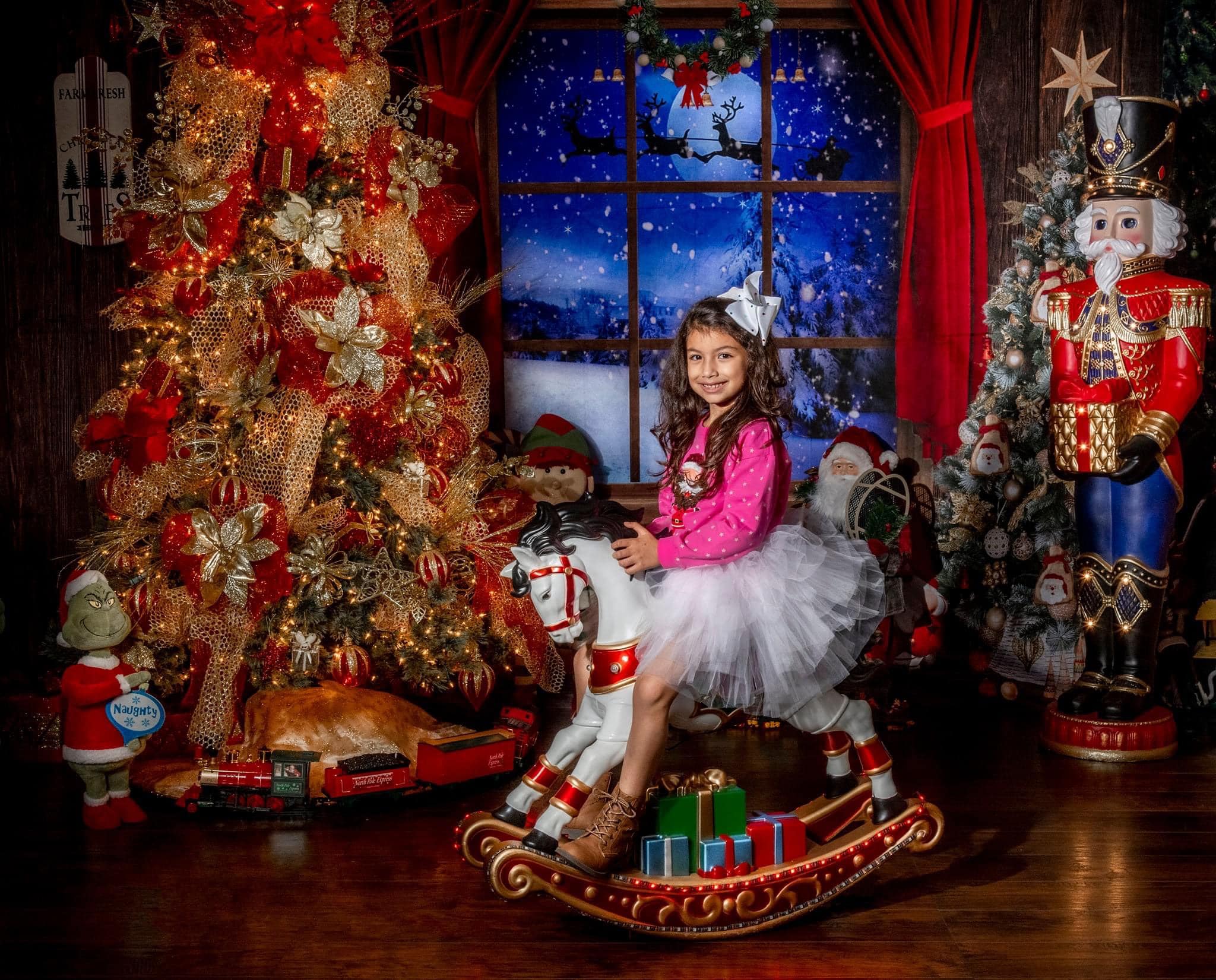 Kate Christmas Trees Indoor Windows Backdrop Room Set - Kate Backdrop