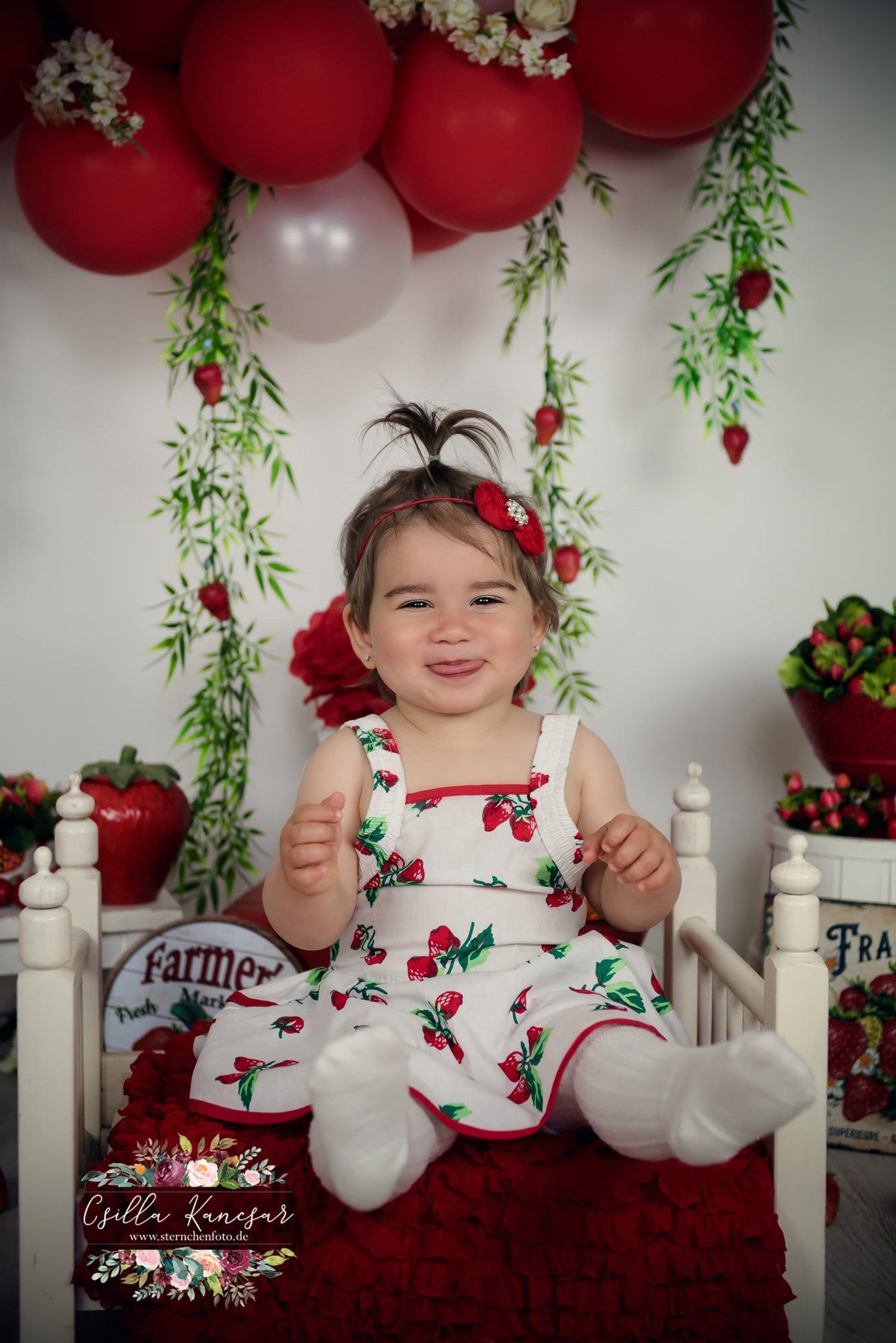 Kate Summer Backdrop Strawberry Apple Red Balloons Designed by Csilla Kancsar - Kate Backdrop