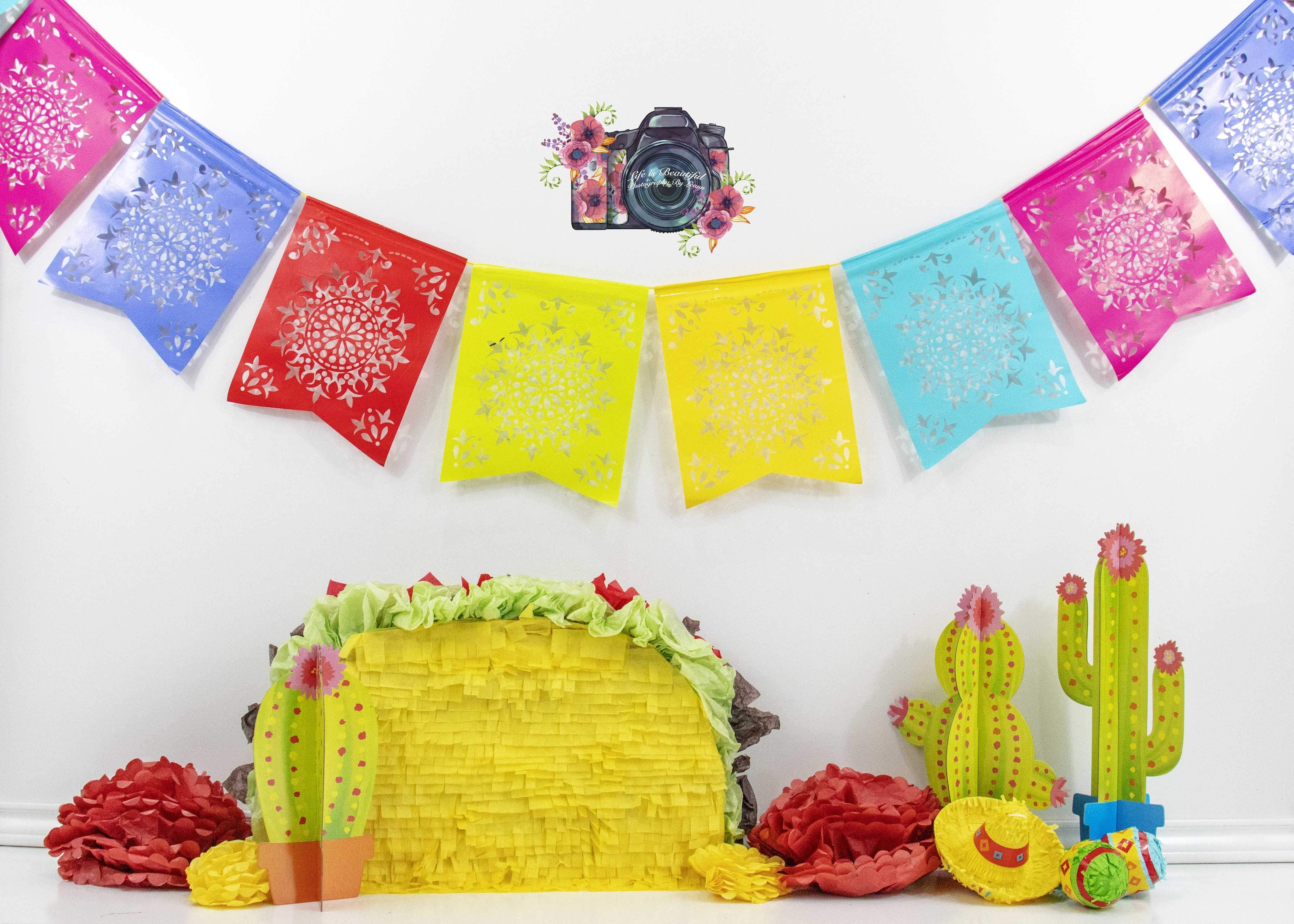 Katebackdrop£ºKate Taco Theme with Colorful Flags Backdrop for Photography Designed By Leann West