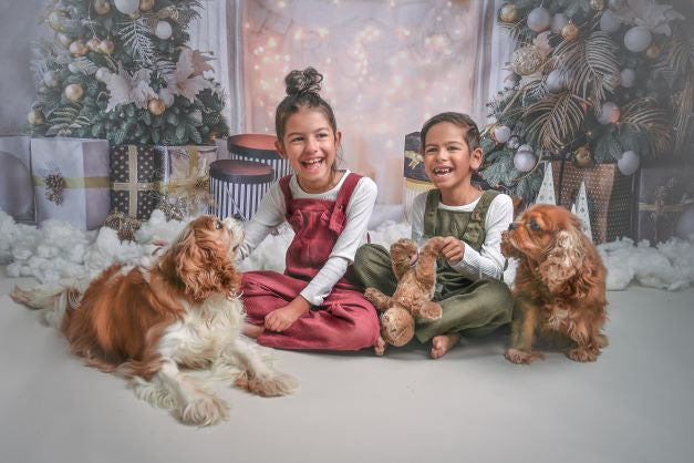 Kate Christmas White Room Pinetrees Gifts Decoration Backdrop for Photography - Kate Backdrop