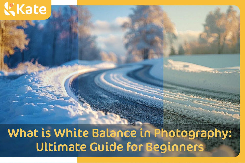 What is White Balance in Photography: Ultimate Guide for Beginners