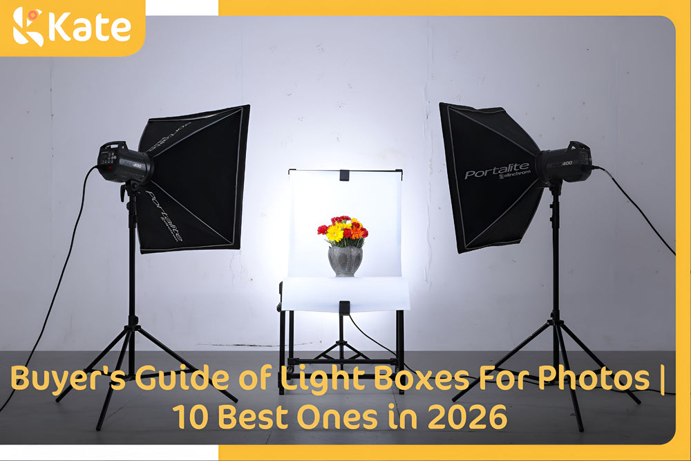 Buyer's Guide of Light Boxes For Photos | 10 Best Ones in 2026