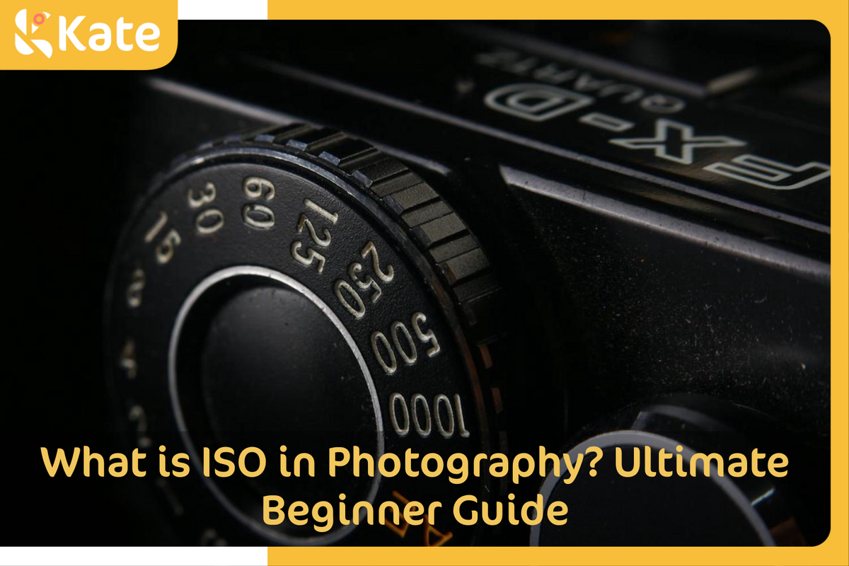 Is0 In Camera What is ISO in Photography? An Ultimate Beginner Guide