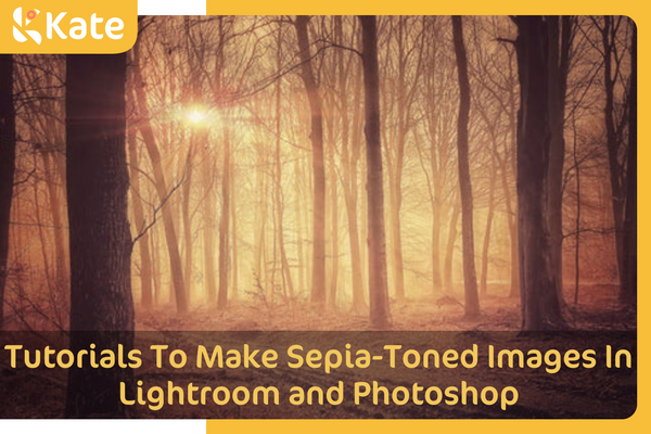 Tutorials To Make Sepia-Toned Images In Lightroom and Photoshop