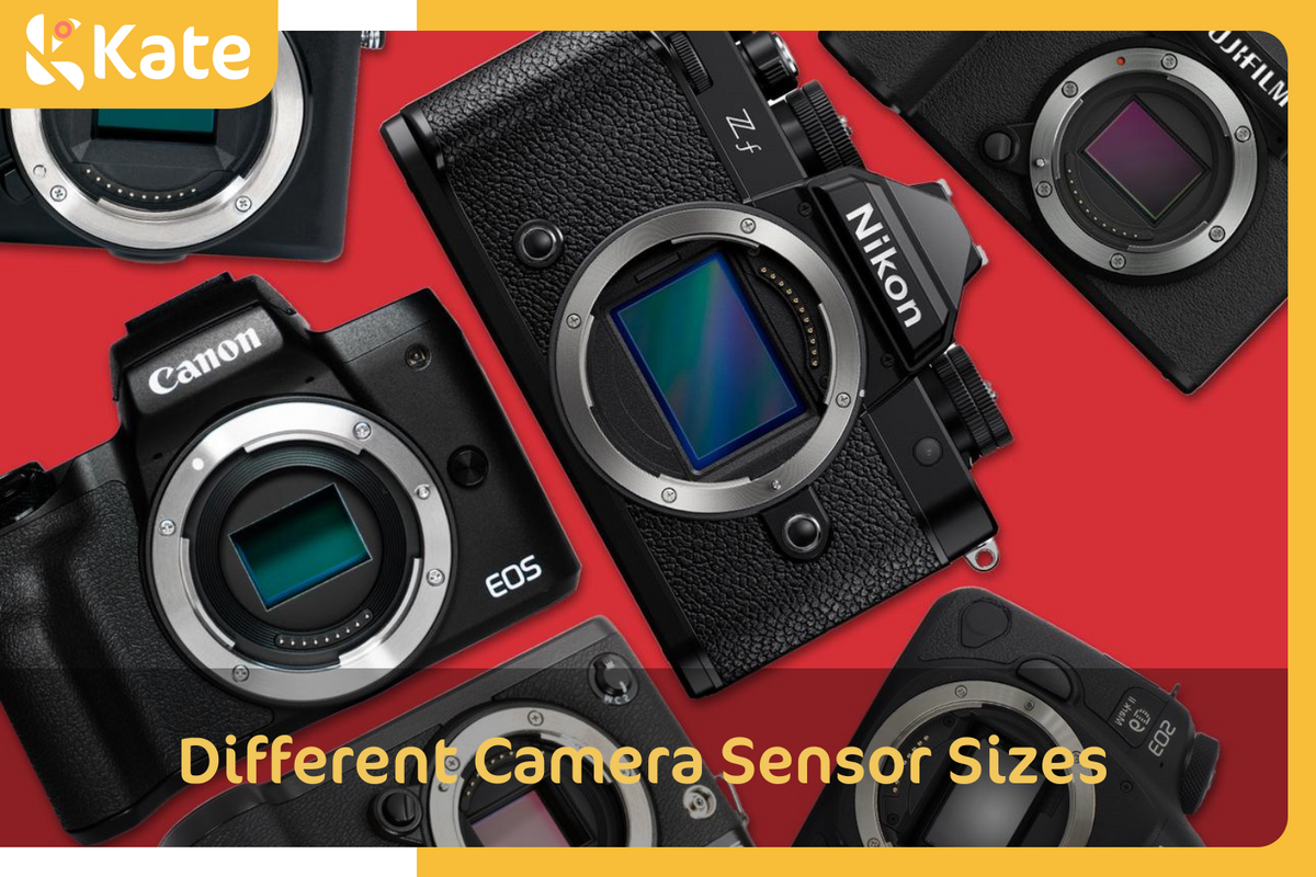 Camera Sensor Size Chart Different Camera Sensor Sizes