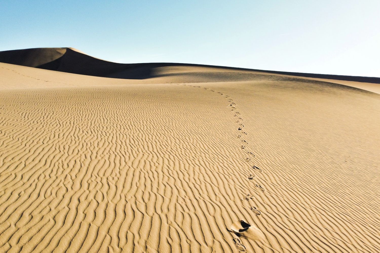 vast and stunning desert with a  line of footprint  by Brian Wangenheim on Unsplash