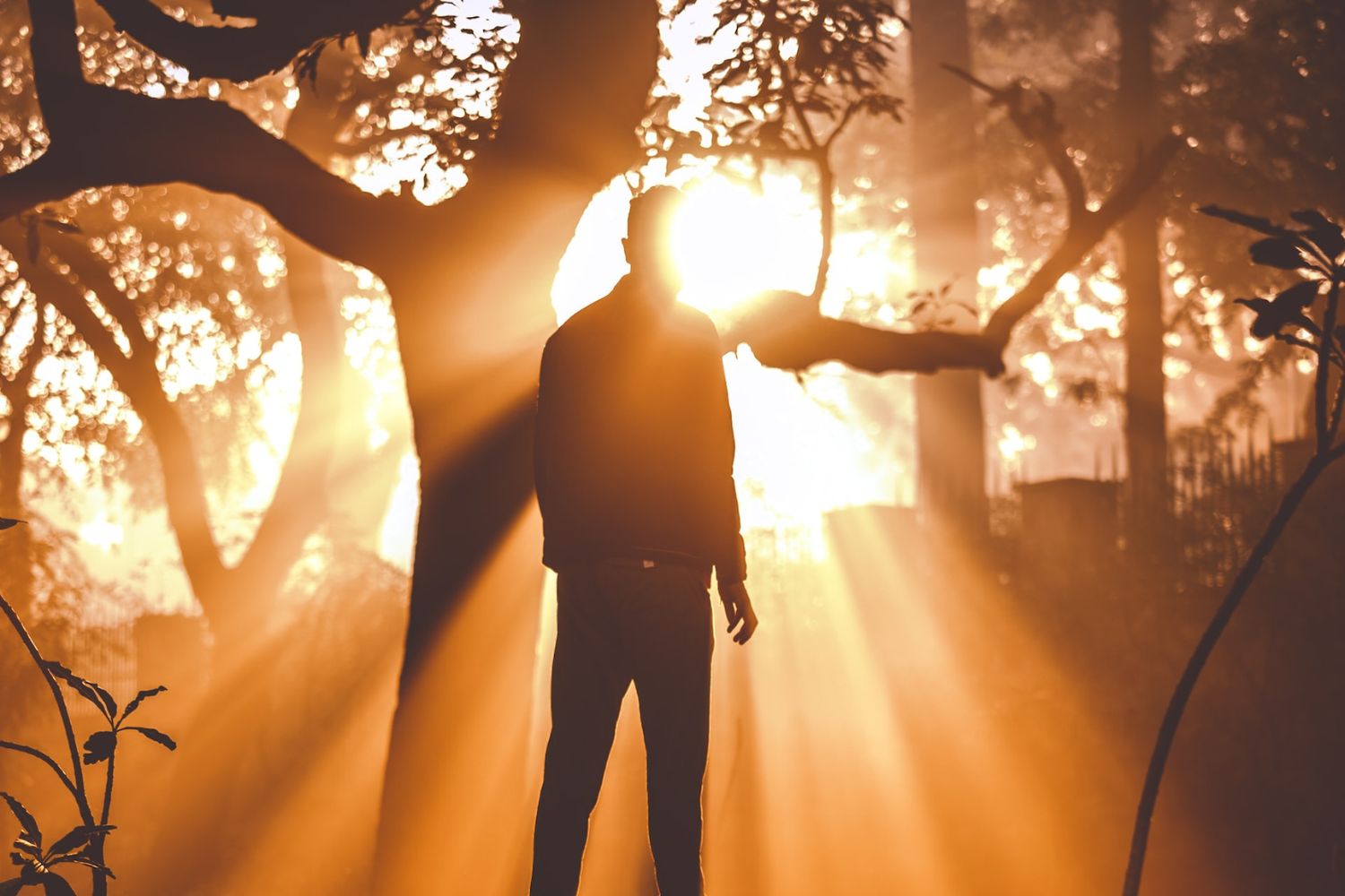 man standing in the forest and lighting front  by Dewang Gupta on Unsplash
