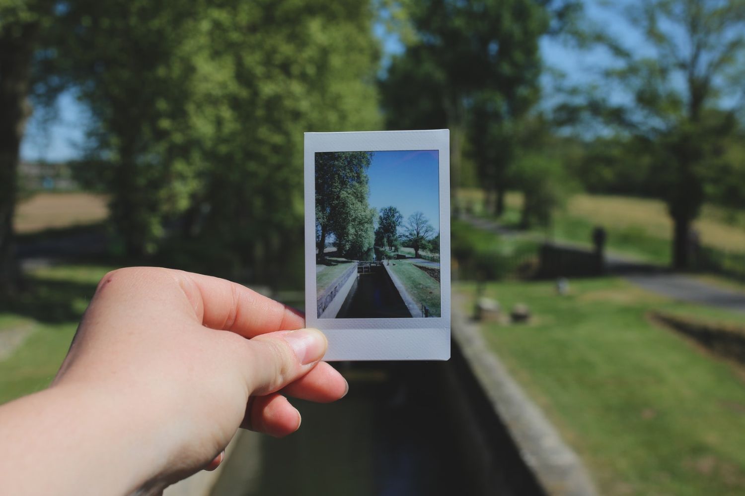 hand-holding Polaroid picture