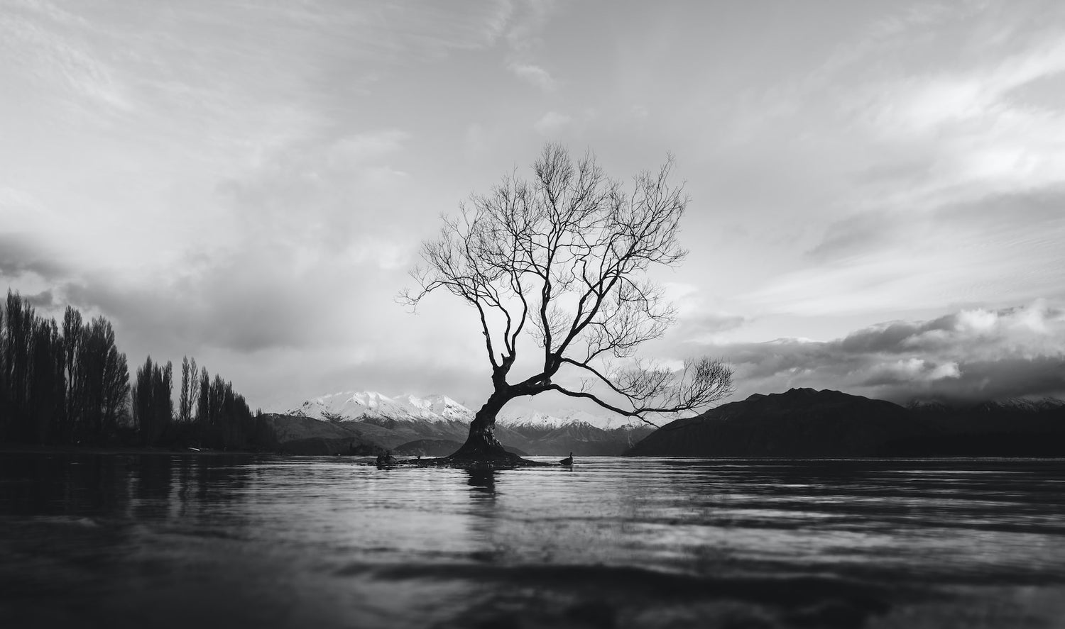 black and white landscape Photo by Erico Marcelino on Unsplash