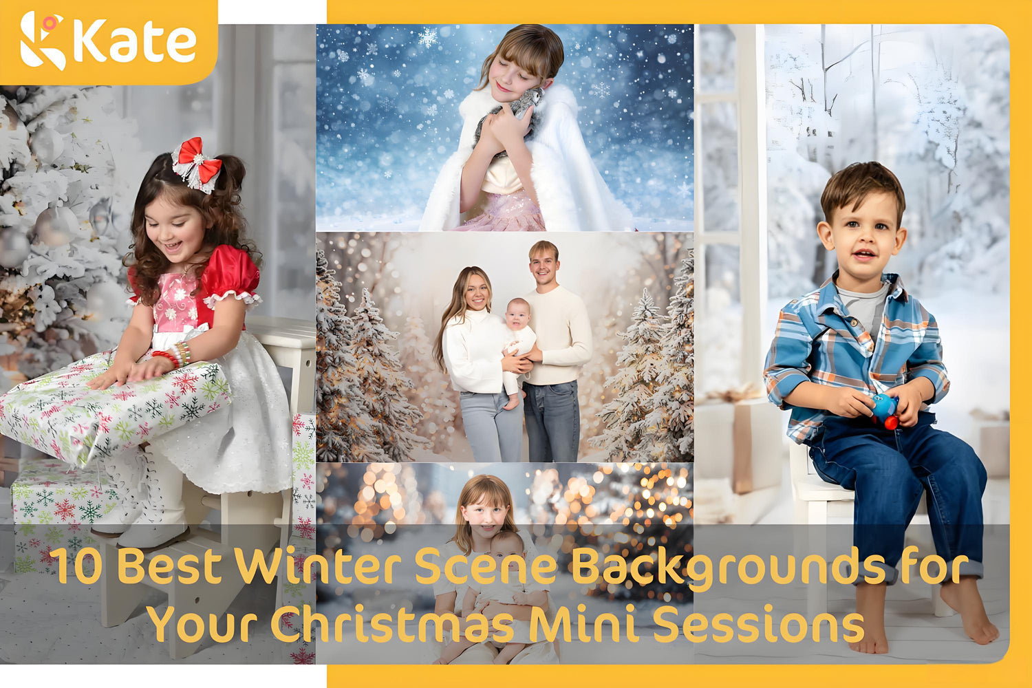 Winter Scene Backgrounds for Christmas Mini Sessions