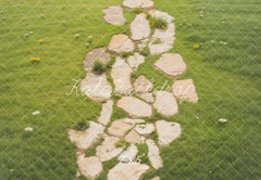 Kate Stone Pathway With Daisies On Green Grass Floor Printed Backdrop Designed by Emetselch