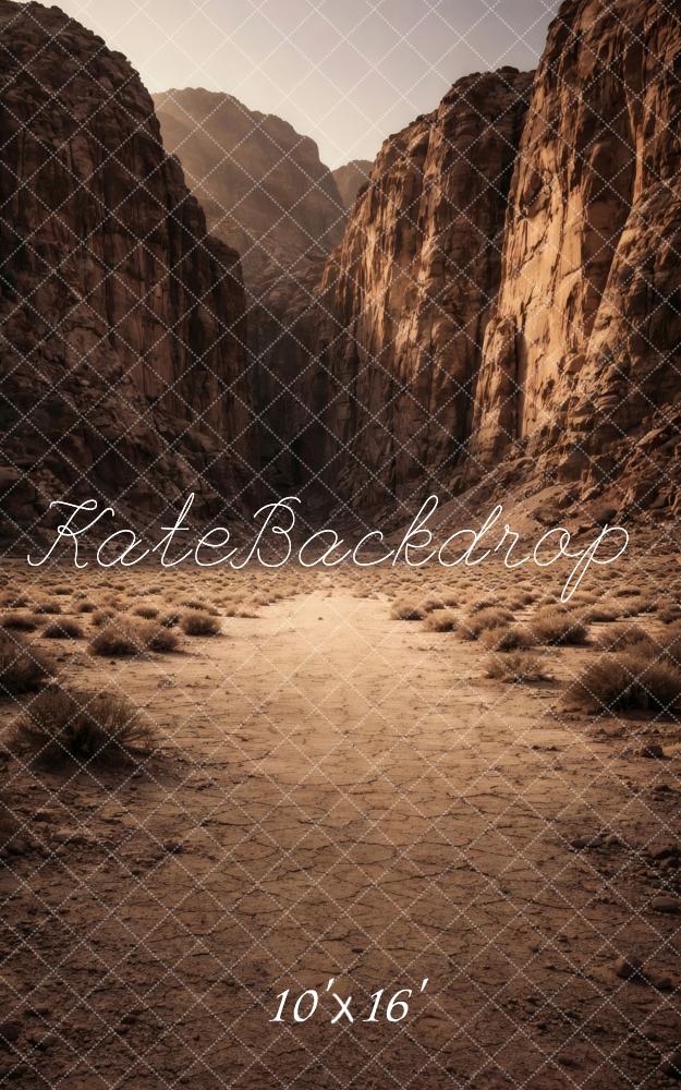 Kate Sweep Desert Canyon Brown Mountains Printed Backdrop Designed by Vertigo Productions